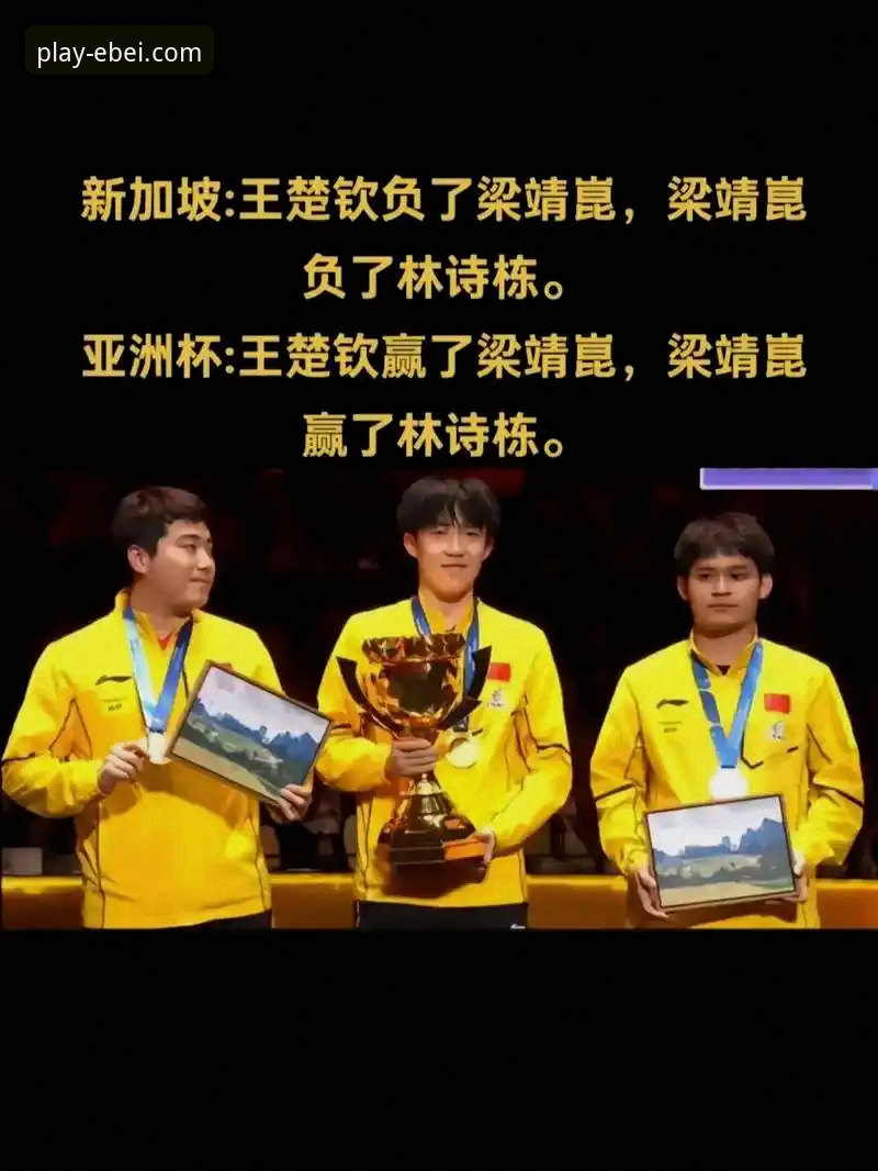 中国男乒世锦赛小组赛全胜晋级深度解析——从林诗栋到梁靖崑的比赛细节与平台观赛体验